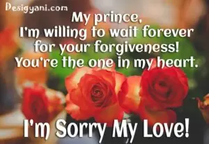 I’m Sorry Status For Husband | Sample Apology Messages For Husband 