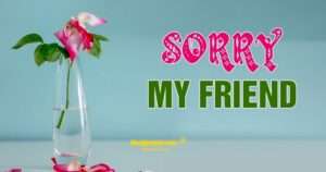 I’m Sorry Status for Friends | Apology words to best friend | Forgive me my friend Quotes Status Desigyani