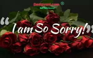 I’m Sorry Status For Husband | Sample Apology Messages For Husband |