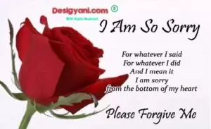 I’m Sorry Status For Husband | Sample Apology Messages For Husband 