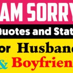 i am sorry husband and boyfriend status Quotes