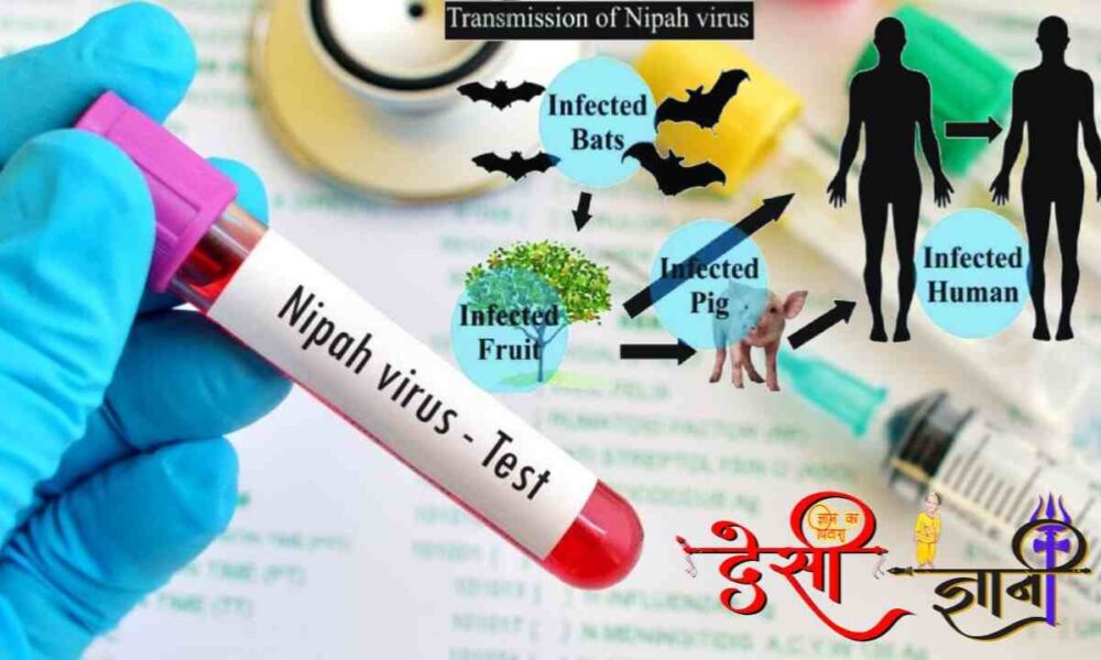 क्या हैं निपाह वायरस? लक्षण और इलाज